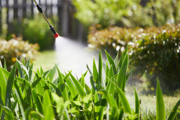 24/7 Emergency Mosquito Control experts in Coplay, PA